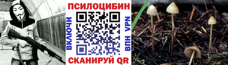 Псилоцибиновые грибы мухоморы  Дубовка 